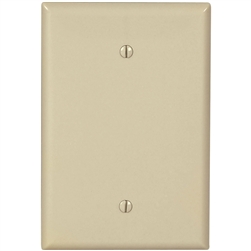 Cooper, 2729V, 1 Gang Jumbo Nylon Blank Wall Plate, Ivory