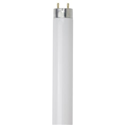Sunlite, 30192, F32T8/SP865 6500K Daylight 32 Watt T8 High Performance Straight Tube Medium Bi-Pin (G13) Base Fluorescent Light Bulb