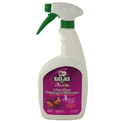 Black Jack 634 32oz Lice Stop Treatment And Elimination