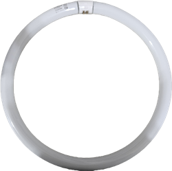 Sylvania 20132 16" FC16T9/CW/RP Rapid Start Circline Cool White Fluorescent 40 Watt Tube Light Bulb