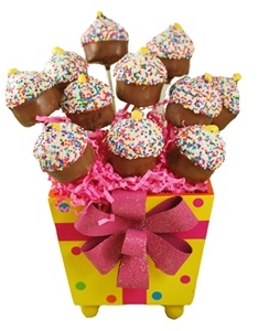 Cake Pop Cupcake Design Gift Pail of 12