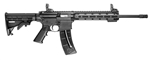 Smith & Wesson M&P15-22 Sport in .22LR 10208