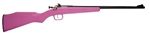 Crickett Youth Rifle Blued Synthetic in .22LR