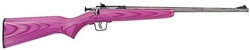 Crickett Youth Crickett Youth Stainless Laminate in .22LR