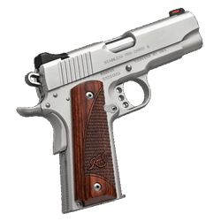 Kimber Pro Carry II Stainless .45ACP 3200324