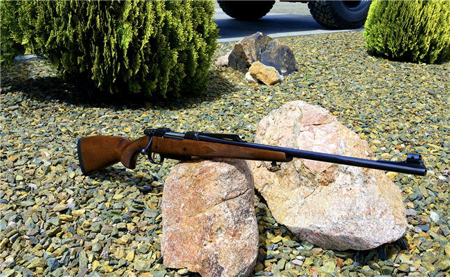 CZ 550 (300 Win Mag)