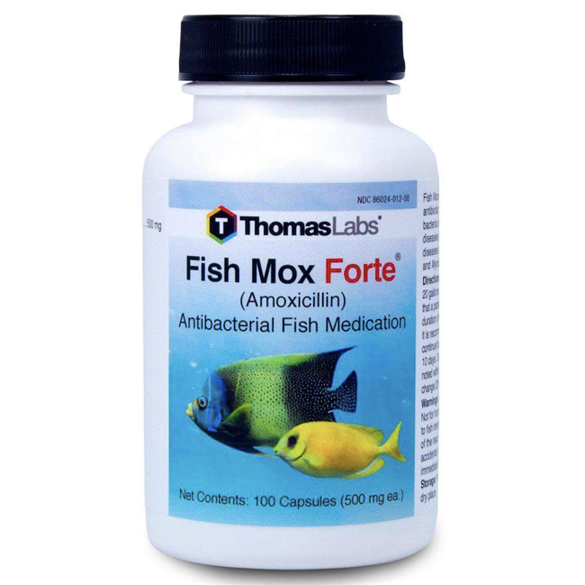 Fish Mox (Amoxicillin) 500mg 100ct