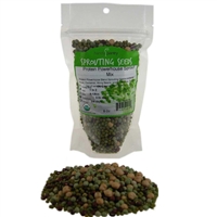 Organic Protein Powerhouse Sprouting Seed Mix