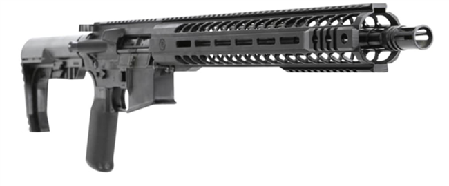 Radical Firearms RF-15 with FRT