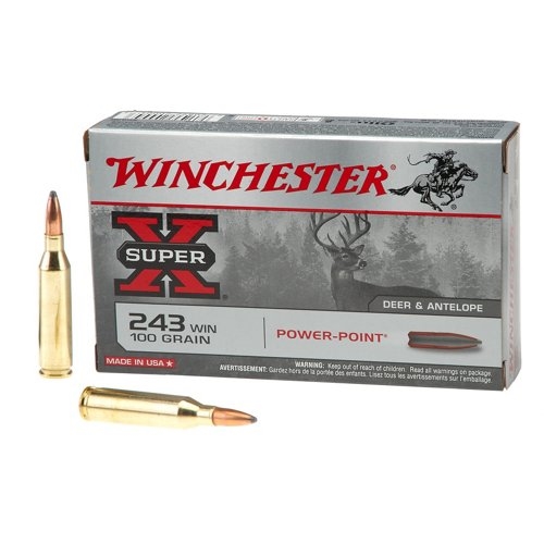 Winchester 243win 100gr