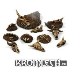 KR-006 - Animal Skulls & Bones  (11)