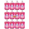 12x Astonish Protect & Care Raspberry Ripple Anti Bacterial Handwash 600ml