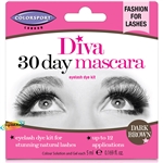 Colorsport Diva 30 Day Mascara Eyelash Dye Kit DARK BROWN