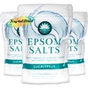 3x Elysium Epsom Bath Salts EUCALYPTUS Magnesium Sulphate Relaxing Soak 450g