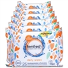 6x Femfresh Biodegradable & Flushable Gentle Feminine Intimate Hygiene Wipes 25