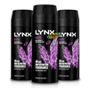 3x Lynx Excite Deodorant Body Spray 48H High Definition Fragrance 150ml