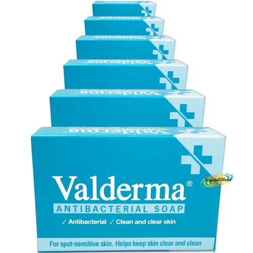 6x Valderma Antibacterial Soap 100g