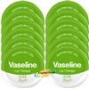 12x Vaseline Lip Balm Therapy Petroleum Jelly With Aloe Vera 20g Travel Size Pot