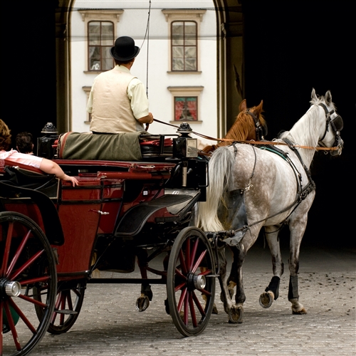 Vienna City Tour - Vienna Walking Tour & Carriage Ride
