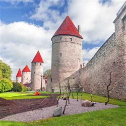 Shore Excursions - Tallinn Highlights and Rocca Al Mare