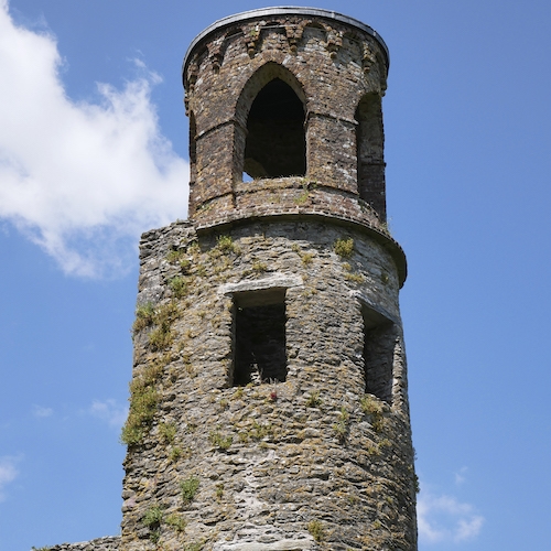 Cobh Shore Excursion - Highlights of Blarney