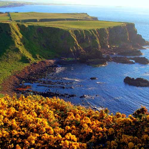Cobh Shore Trip - Scenic County Kerry