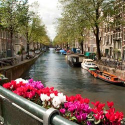 Amsterdam Shore Trip - Best of Amsterdam
