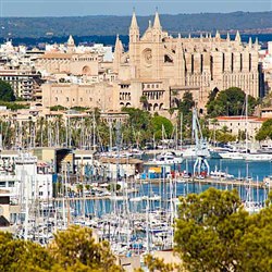 Palma de Mallorca Shore Excursions - Highlights of Palma