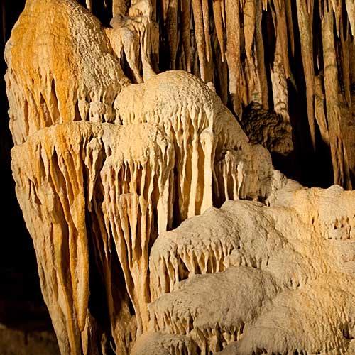 Palma de Mallorca Cruise Tours - The Dragon's Cave