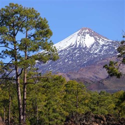 Tenerife Shore Excursions - Las Canadas del Teide