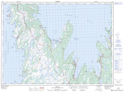 001N12 - DILDO - Topographic Map