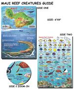 Maui Hawaii - Fish ID Card. Franko's fish cards are stiff, laminated plastic, with a hole for a lanyard. Take it snorkeling or scuba diving with you! Size of the Fish Card is 6" x 9".