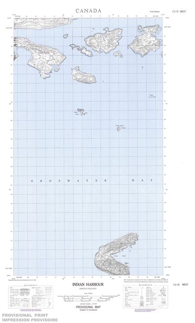 013I06W - INDIAN HARBOUR - Topographic Map