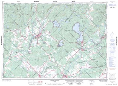 021L13 - SAINT-RAYMOND - Topographic Map