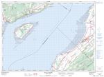 021M08 - ILE AUX COUDRES - Topographic Map