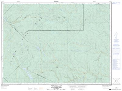 021N16 - WILD GOOSE LAKE - Topographic Map