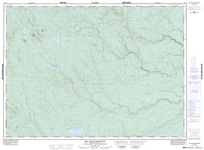021O01 - BIG BALD MOUNTAIN - Topographic Map