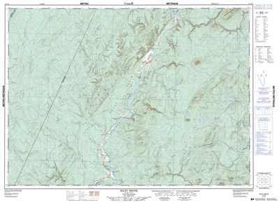 021O03 - RILEY BROOK - Topographic Map