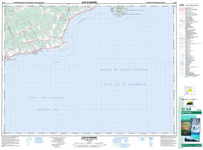 022A08 - CAP D'ESPOIR - Topographic Map