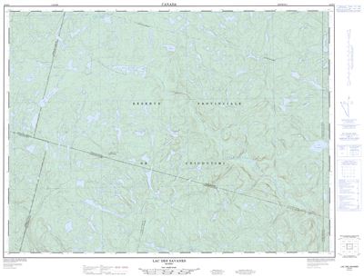 022D09 - LAC DES SAVANES - Topographic Map