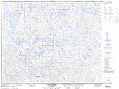 022P15 - DOMAGAYA LAKE - Topographic Map