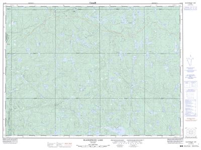041N09 - BLACKSPRUCE LAKE - Topographic Map