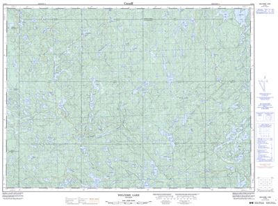 041O04 - WELCOME LAKE - Topographic Map