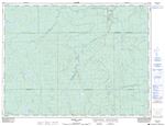 042G04 - ROCHE LAKE - Topographic Map