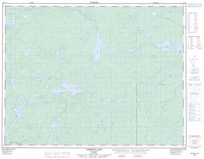 042L05 - TORONTO LAKE - Topographic Map