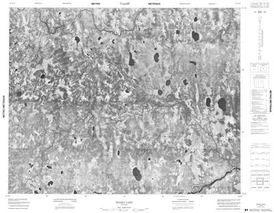 042M10 - MAXEY LAKE - Topographic Map