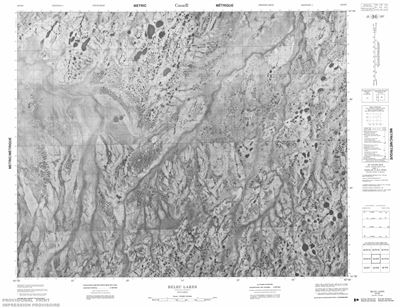 042O09 - BELEC LAKES - Topographic Map