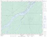 042P02 - BUSHY ISLAND - Topographic Map