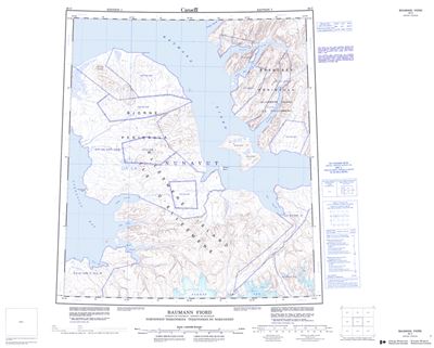 049C - BAUMANN FIORD - Topographic Map