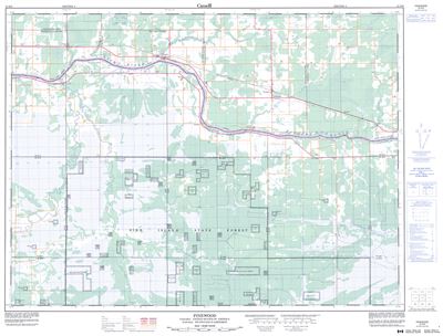 052D09 - PINEWOOD - Topographic Map